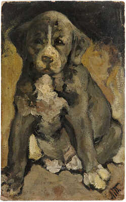 Туржанский Леонард Викторович. Этюд щенка 